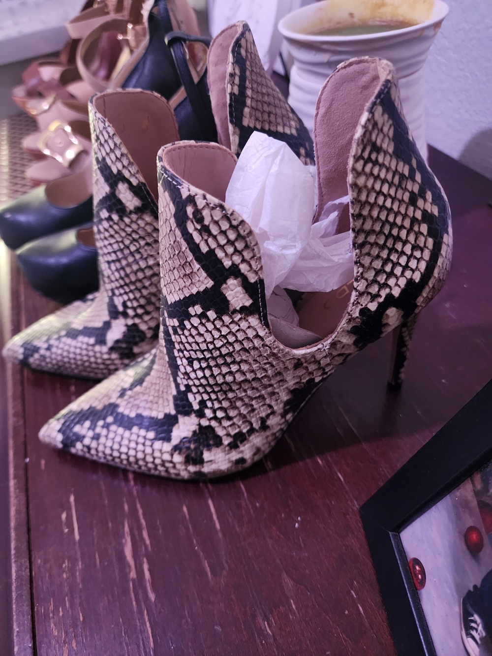 Aldo Snake-Print Pointed Stiletto Booties in Beige and Black